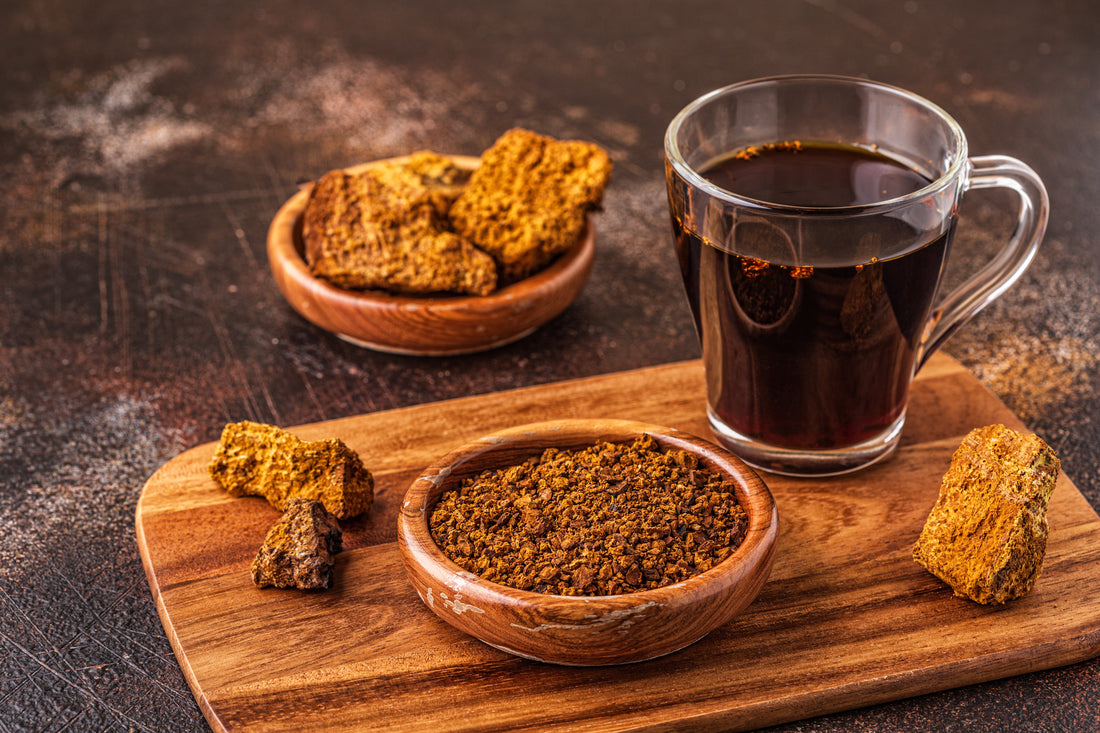 The Amazing Benefits of Chaga Tea