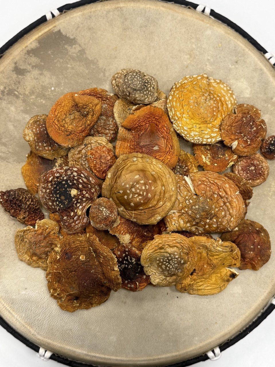 Dried Amanita Muscaria Caps, 100 g