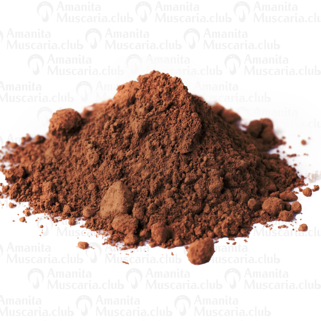 Chaga mushroom tea powder, 100 g