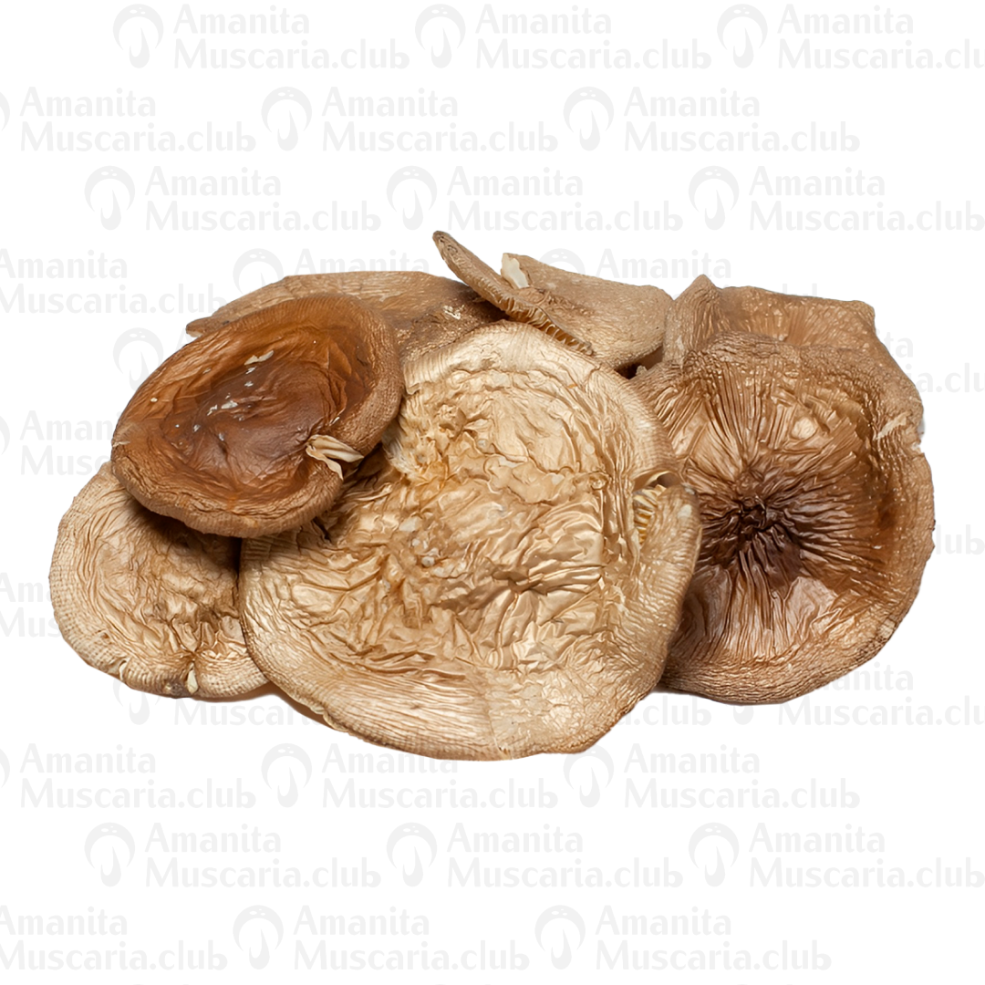 Dried Amanita Pantherina Caps, 100 g