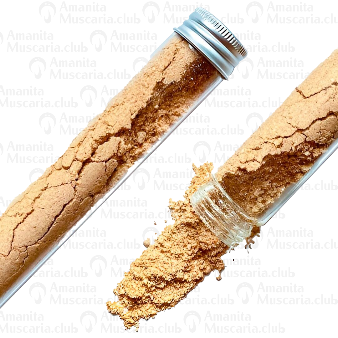 Dried Amanita Muscaria Powder, 100 g