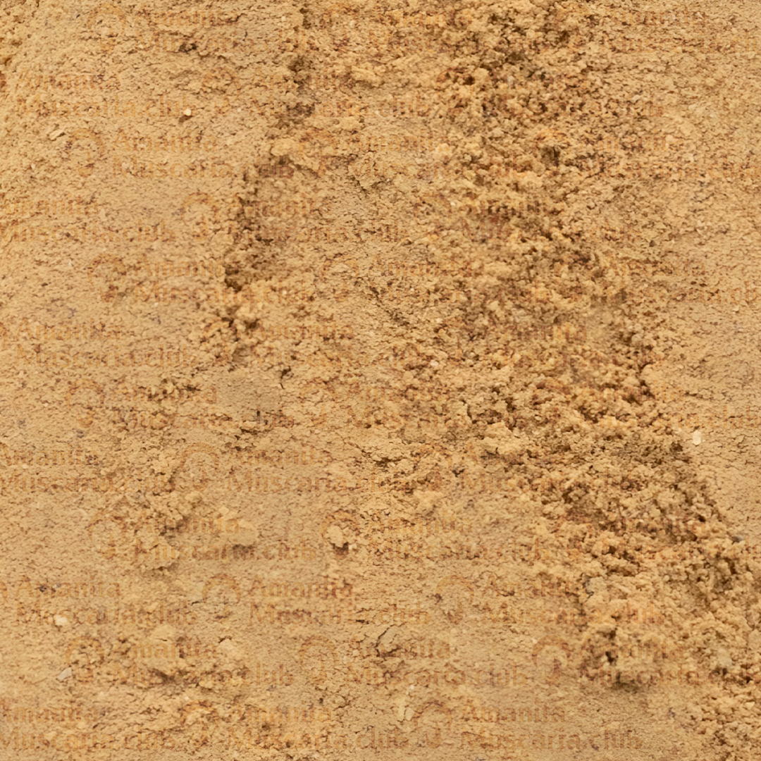 Dried Amanita Muscaria Powder, 100 g