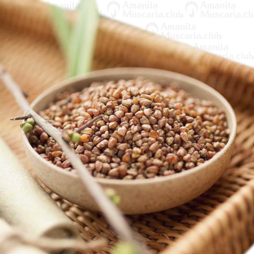 Buckwheat tea, 100 g