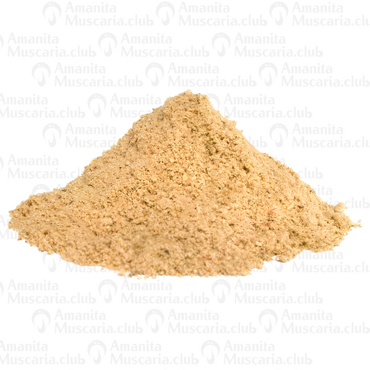 Dried Amanita Muscaria Powder, 100 g